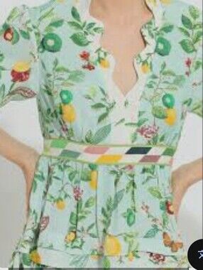 Ranna Gill Mint Green Floral & Lemon Print Dress.